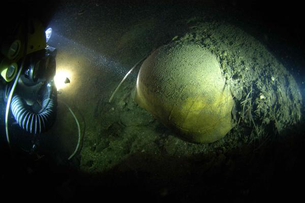 Bahamas Caves Research Foundation