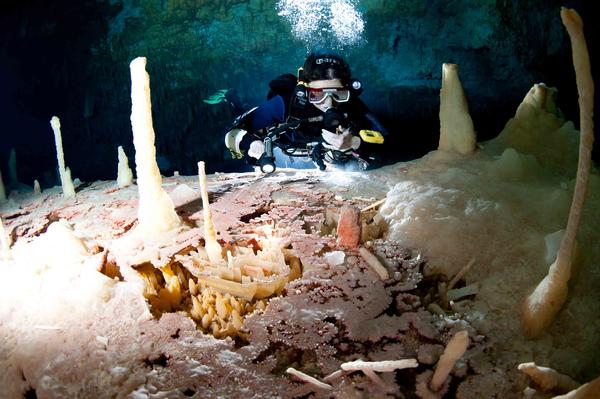 A diver checks out an incredible pool of dog tooth spar crystals in Ralph's Cave, Abaco Island. Photo by Brian Kakuk